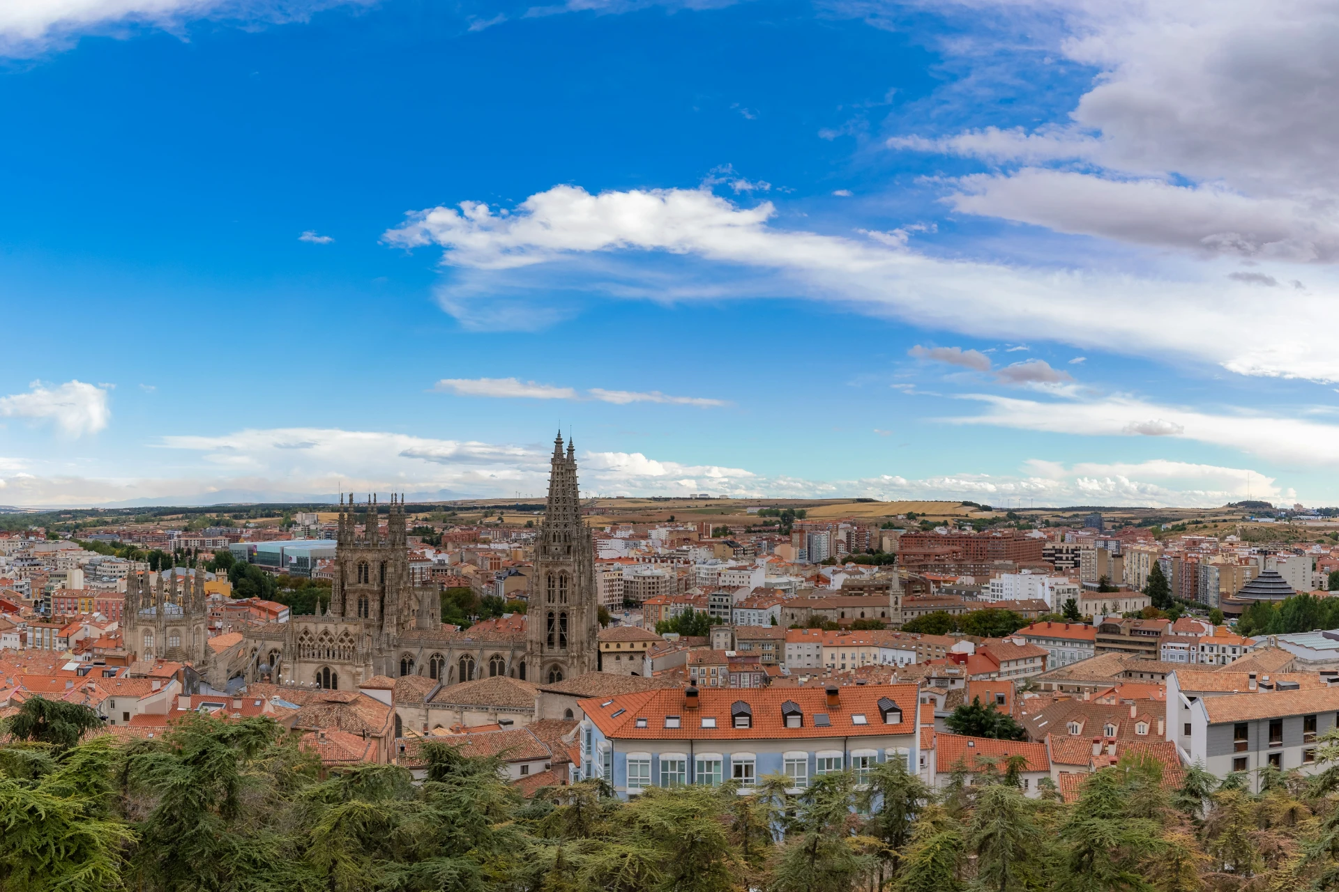 Burgos Afiliacion Y Hacienda